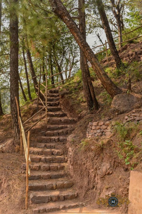 The Mud House Resort Касаулі Екстер'єр фото